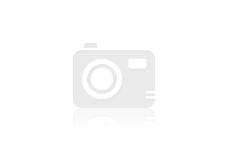 Cheap Host 30 GB